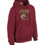 Hoody - Logo #3