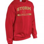 Crewneck-Logo #3